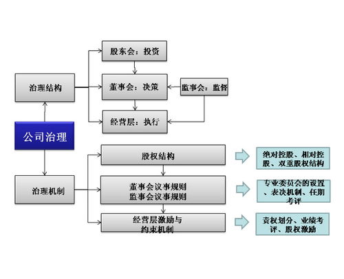 公司治理機制中的數(shù)據(jù)高效處理服務(wù)
